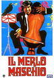 Il merlo maschio