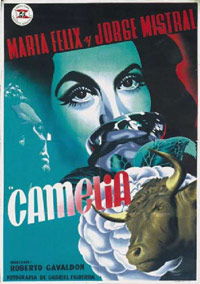 Camelia