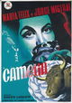 Camelia