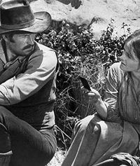 The Bounty Man (1972)