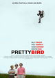 Pretty Bird