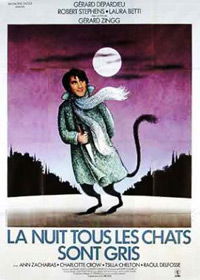 La nuit, tous les chats sont gris (1977)