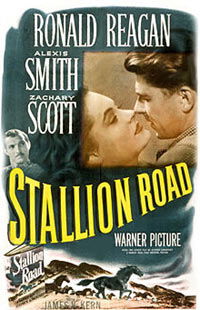 Stallion Road
