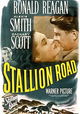 Stallion Road
