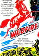 Wildfire