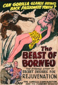The Beast of Borneo (1934)