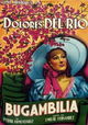 Bugambilia