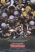 Wildcats