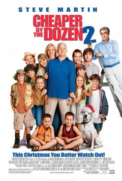 Cheaper by the Dozen 2 (2005)