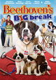 Beethoven's Big Break