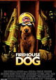 Firehouse Dog