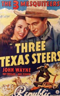 Three Texas Steers