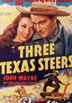 Three Texas Steers