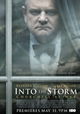 Into the Storm