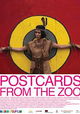 Postcards from the Zoo