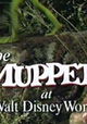 The Muppets at Walt Disney World