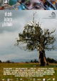 El cielo, la tierra, y la lluvia