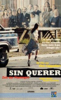 Sin querer (1997)