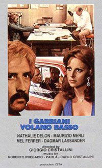 I gabbiani volano basso