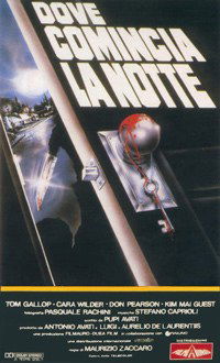 Dove comincia la notte (1991)