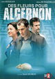 Des fleurs pour Algernon