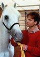 Mein Freund, der Lipizzaner