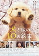 10 Promises to My Dog