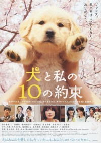 10 Promises to My Dog (2008)
