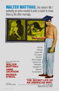 The Secret Life of an American Wife (1968)