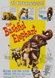 The Bashful Elephant