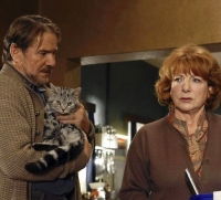Die Katze (2007)