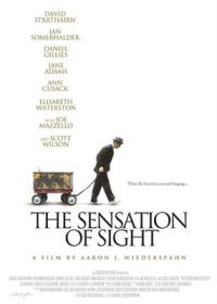 The Sensation of Sight (2006)