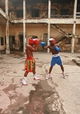 The Fighting Spirit