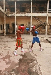 The Fighting Spirit (2008)