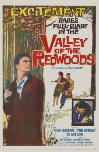 Valley of the Redwoods