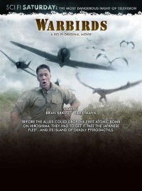 Warbirds (2008)