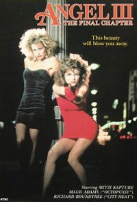Angel III: The Final Chapter (1988)