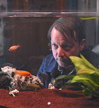 Die zweite Frau (2008)