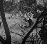 The Cherry Orchard