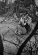 The Cherry Orchard
