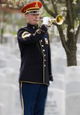Section 60: Arlington National Cemetery