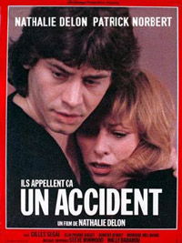 Ils appellent ça un accident (1982)