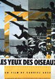 Les yeux des oiseaux