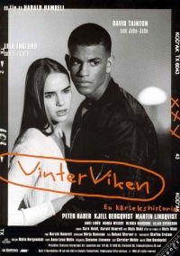 Vinterviken (1996)
