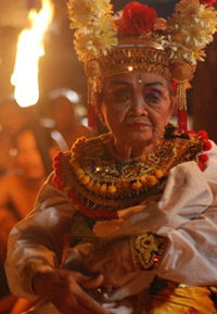 Dibawah pohon (2008)