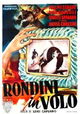 Rondini in volo