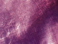 The Text of Light (1974)