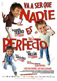Va a ser que nadie es perfecto (2006)