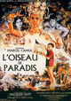 L'oiseau de paradis