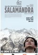 Salamandra